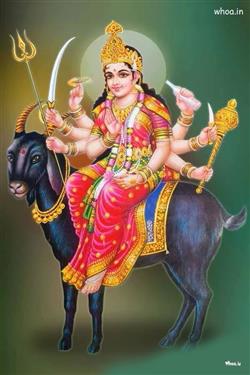 Picture of Meldi Maa