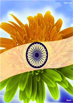 indian national flag national flag new photos new 