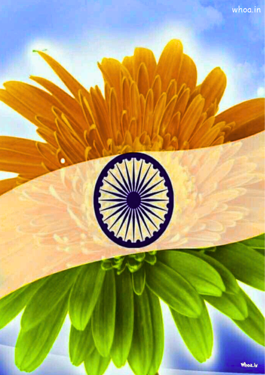 Indian National Flag National Flag New Photos New Images 