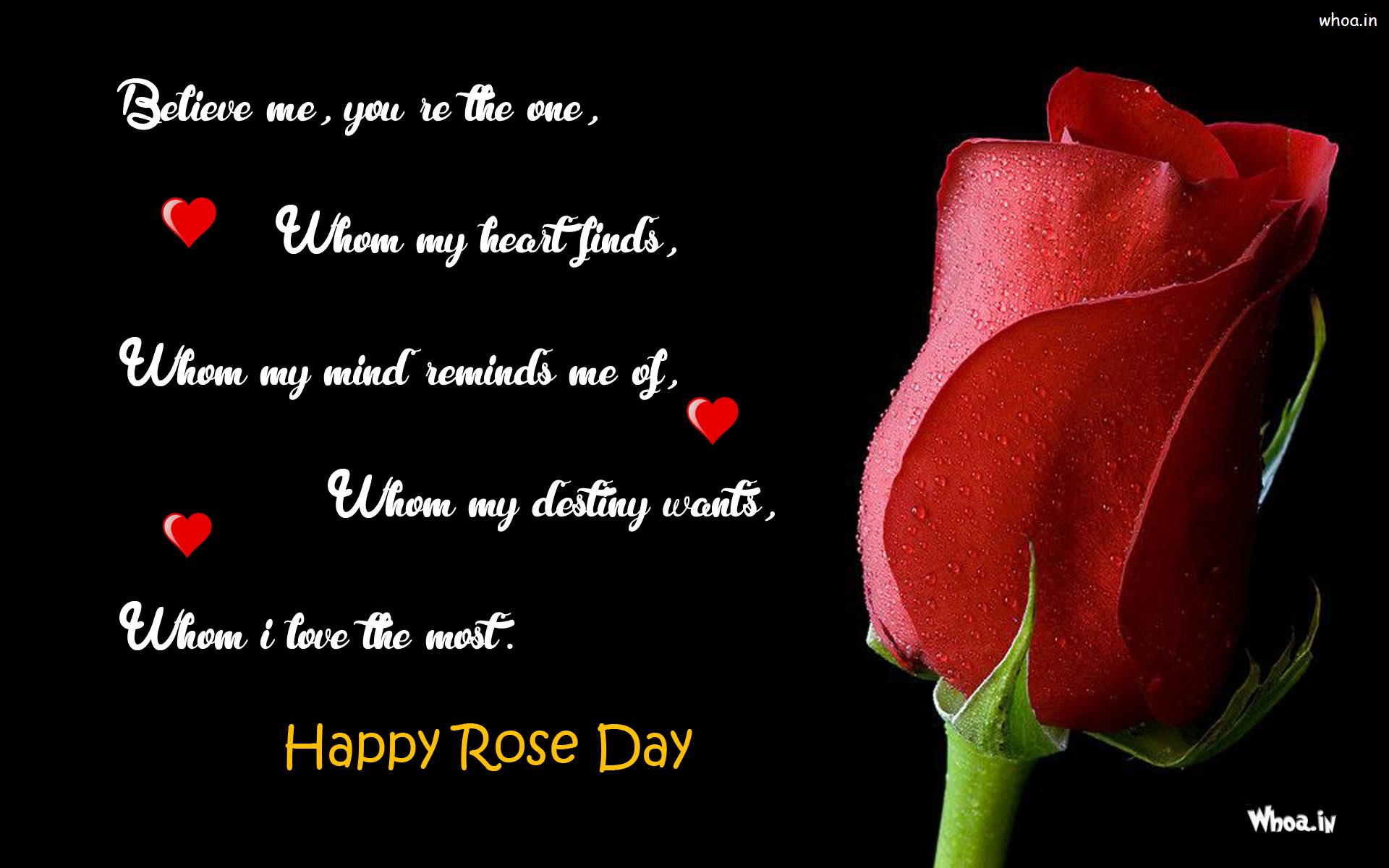Happy Rose Day Quote Wallpaper, Black Background